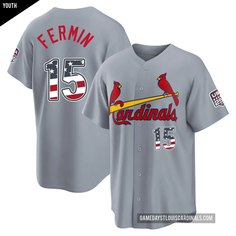 Youth St. Louis Cardinals ＃15 Jose Fermin Limited Gray USA 250 Fourth Of July Road Stadium Jersey