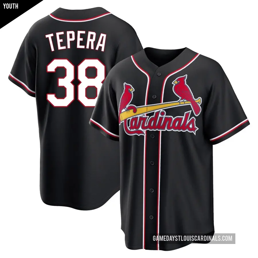 Youth St. Louis Cardinals ＃38 Ryan Tepera Replica Black Fashion Out Jersey