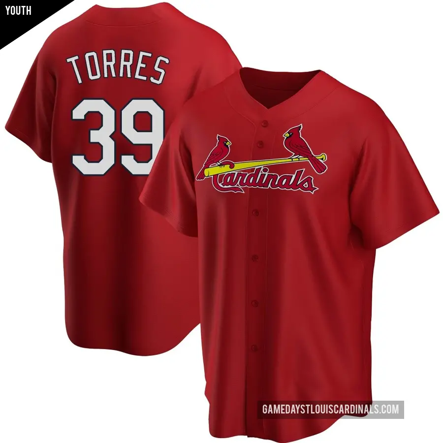 Youth St. Louis Cardinals ＃39 Bryan Torres Replica Red Alternate Jersey